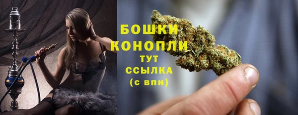 2c-b Гусиноозёрск