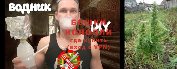 дмт Дмитров