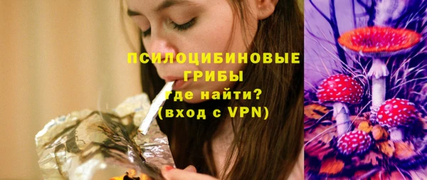 шишки Дмитровск