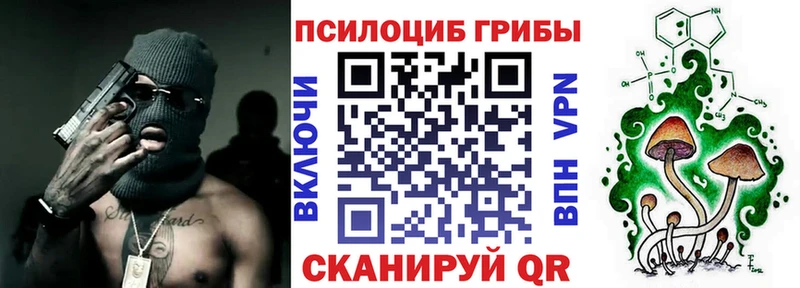Купить  Кировград  Галлюциногенные грибы мицелий 